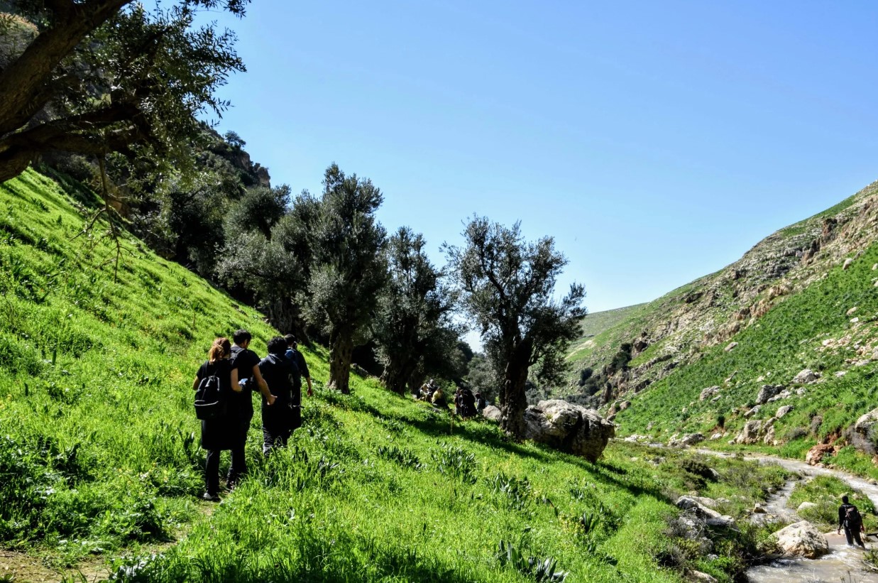 wadi Rayyan